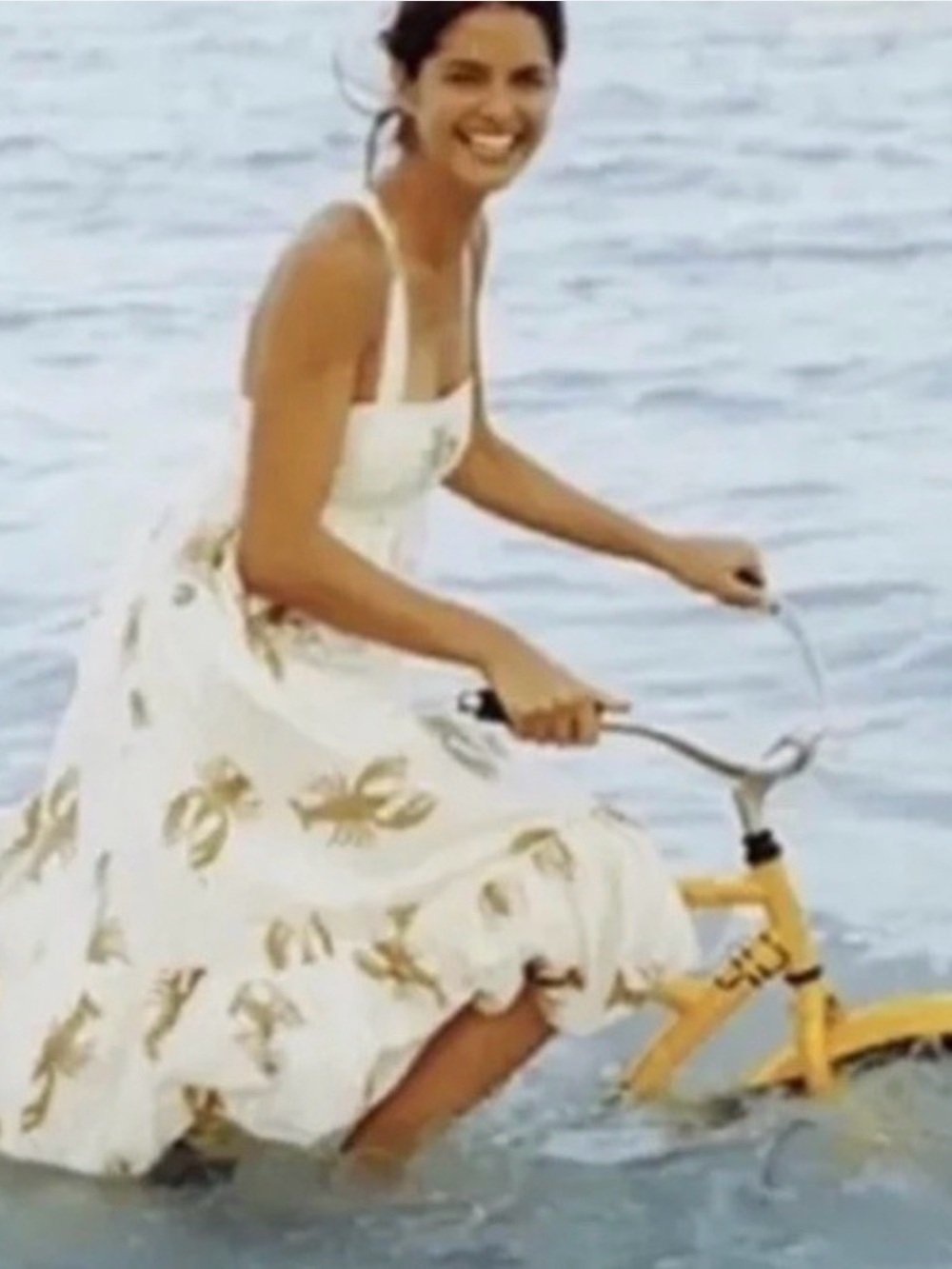 Rare J. Crew Talitha Lobster Dress - Picture 2 of 5